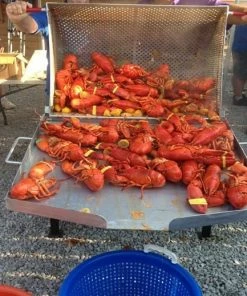 King Kooker Double Sack Crawfish Cooker 7 King Kooker Double Sack Crawfish Cooker