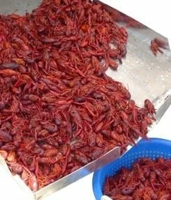 King Kooker Double Sack Crawfish Cooker 8 King Kooker Double Sack Crawfish Cooker