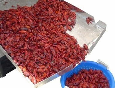 King Kooker Double Sack Crawfish Cooker 4 King Kooker Double Sack Crawfish Cooker